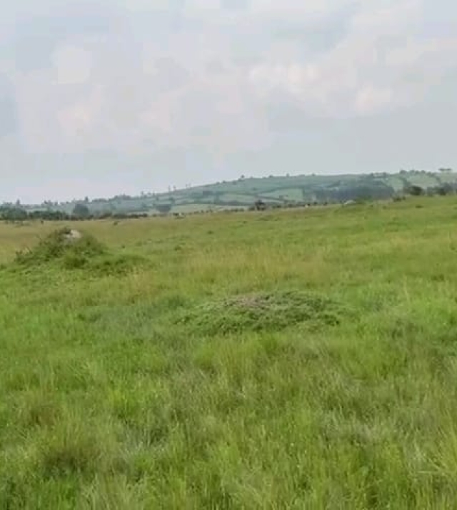 WhatsApp Image 2024-06-25 at 1.32.41 PM 1.jpeg